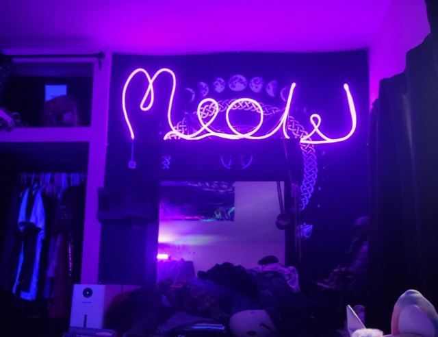 Glowing pink sign spelling Meow in looping script on a dark wall