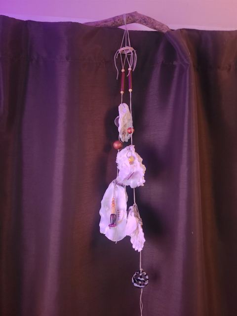 Wind chime in progress, hanging from a driftwood branch, with shells, wood beads and a glass disc on cord